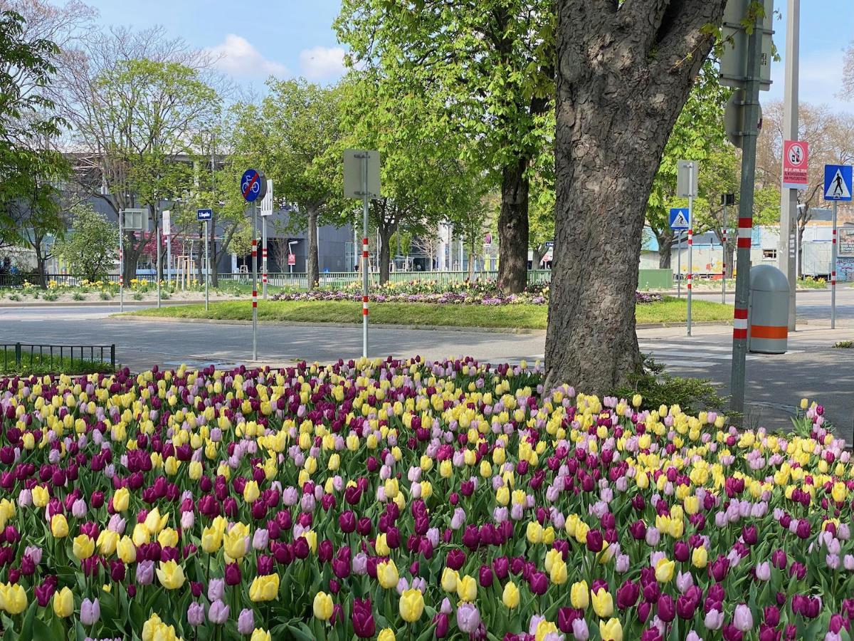 Magic Vienna Right Next To The Prater! Apartment Exterior photo